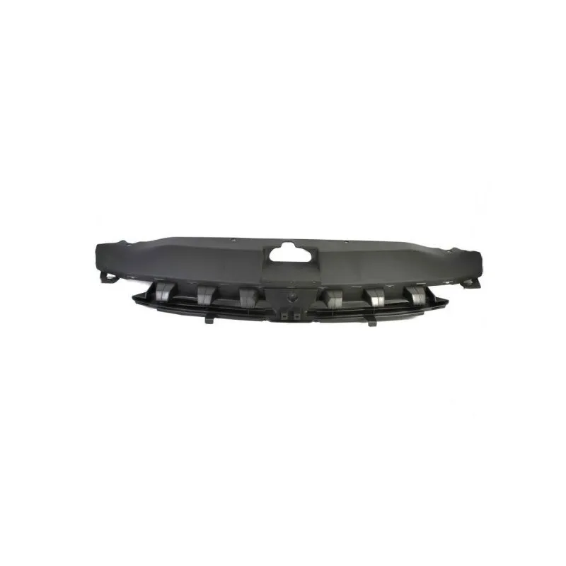 Grille de radiateur BLIC 6502-07-5514990P