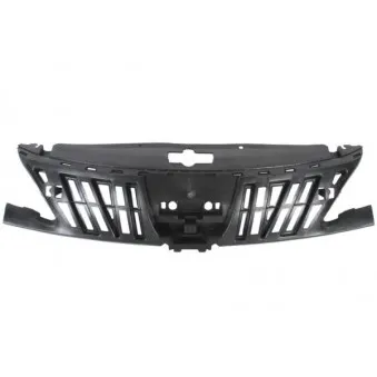 Grille de radiateur BLIC 6502-07-5514991P