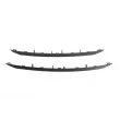 Baguette et bande protectrice, grille de radiateur BLIC 6502-07-5516993P - Visuel 1