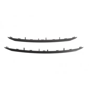 Baguette et bande protectrice, grille de radiateur BLIC 6502-07-5516993P