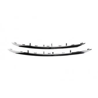 Baguette et bande protectrice, grille de radiateur BLIC 6502-07-5516994P