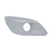 Grille de ventilation, pare-chocs BLIC 6502-07-5519918P - Visuel 1
