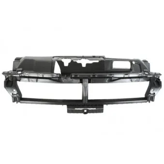 Support, grille de radiateur BLIC 6502-07-5519993P