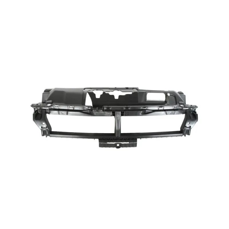 Support, grille de radiateur BLIC 6502-07-5519993P