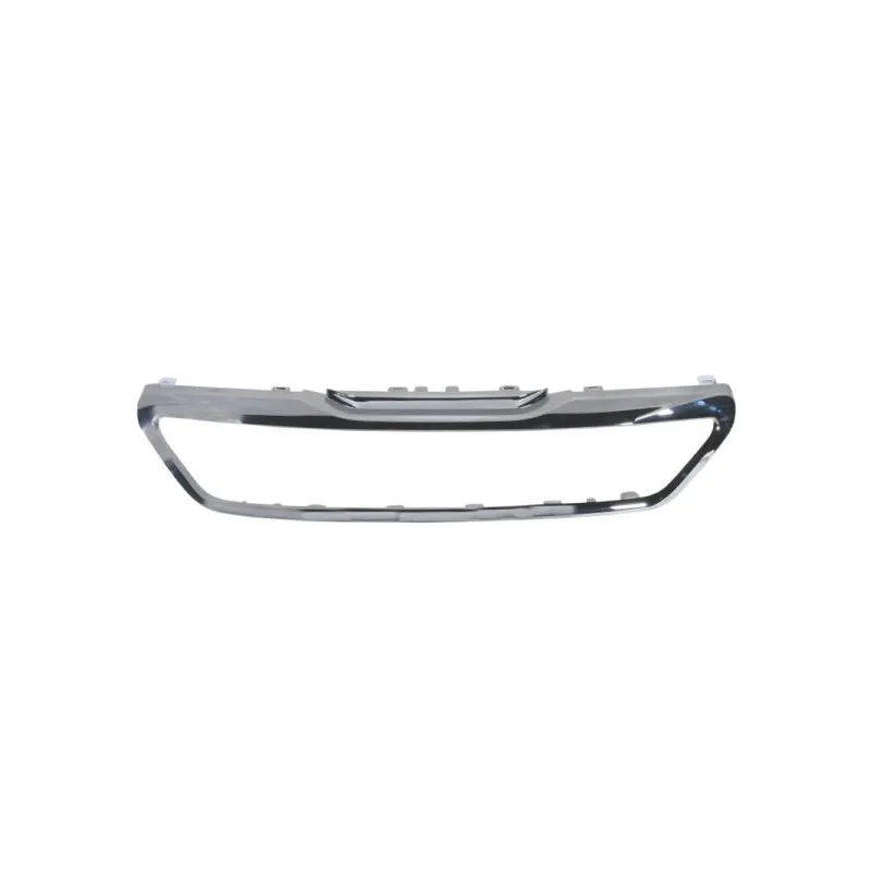 Baguette et bande protectrice, grille de radiateur BLIC 6502-07-5519996P