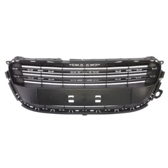 Grille de radiateur BLIC 6502-07-5527990Q