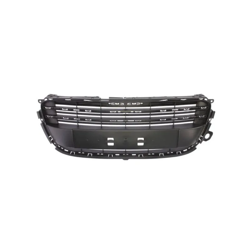 Grille de radiateur BLIC 6502-07-5527990Q