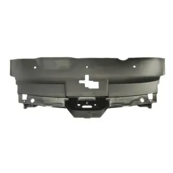 Grille de radiateur BLIC 6502-07-5537990P