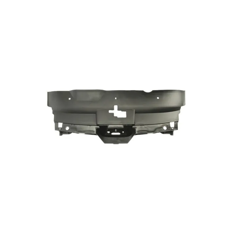 Grille de radiateur BLIC 6502-07-5537990P