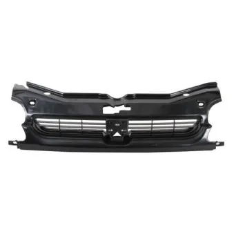 Grille de radiateur BLIC 6502-07-5560990P