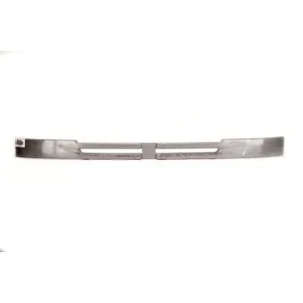 Grille de radiateur BLIC 6502-07-5566990P