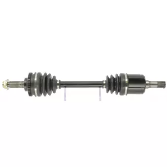 Arbre de transmission CEVAM