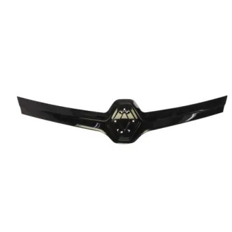 Grille de radiateur BLIC 6502-07-6006990P