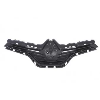 Grille de radiateur BLIC 6502-07-6009990Q