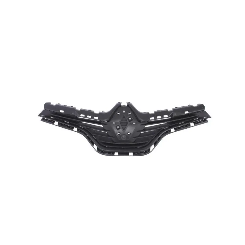 Grille de radiateur BLIC 6502-07-6009990Q