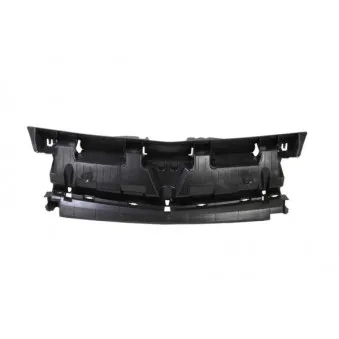 Grille de radiateur BLIC 6502-07-6011210P