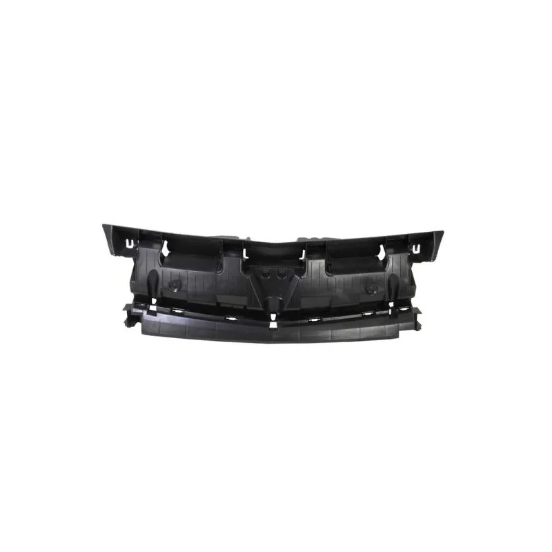 Grille de radiateur BLIC 6502-07-6011210P