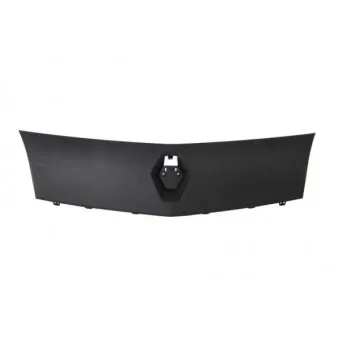Grille de radiateur BLIC 6502-07-6011990P