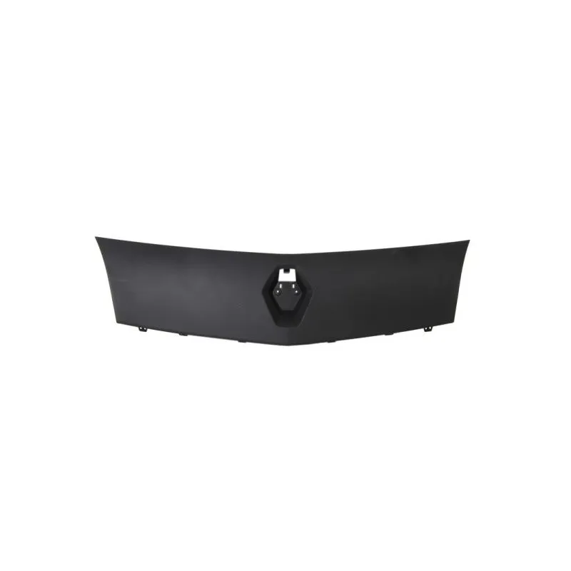 Grille de radiateur BLIC 6502-07-6011990P