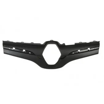 Grille de radiateur BLIC 6502-07-6011994P