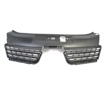 Grille de radiateur BLIC 6502-07-6032993P