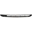 Grille de ventilation, pare-chocs BLIC 6502-07-6033997P - Visuel 2