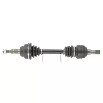 Arbre de transmission CEVAM