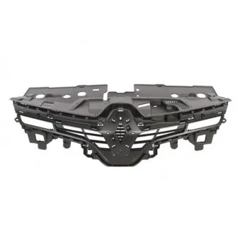 Grille de radiateur BLIC 6502-07-6034990P