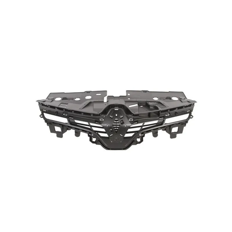 Grille de radiateur BLIC 6502-07-6034990P