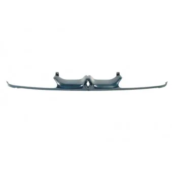 Grille de radiateur BLIC 6502-07-6036993P