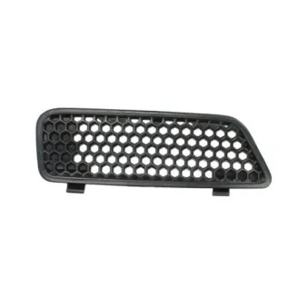 Grille de radiateur BLIC 6502-07-6038994P