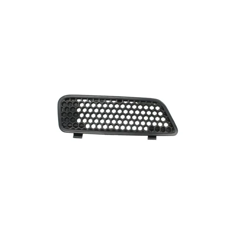 Grille de radiateur BLIC 6502-07-6038994P