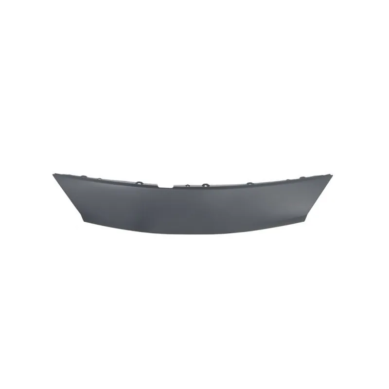 Enjoliveur, grille de radiateur BLIC 6502-07-6039210P