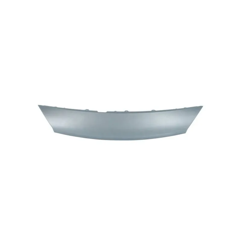 Baguette et bande protectrice, grille de radiateur BLIC 6502-07-6039210Q