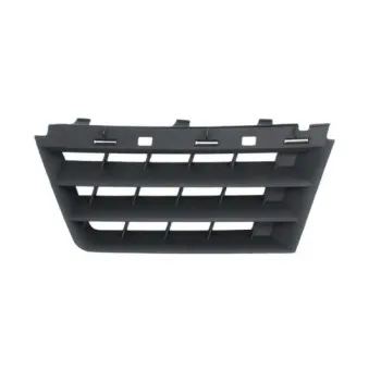 Grille de radiateur BLIC 6502-07-6042991P