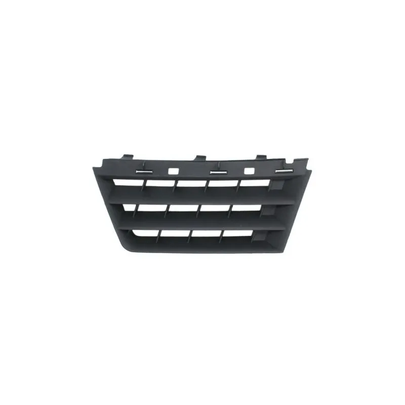 Grille de radiateur BLIC 6502-07-6042991P