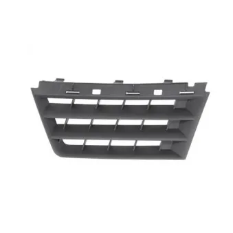 Grille de radiateur avant gauche BLIC 6502-07-6042991Q