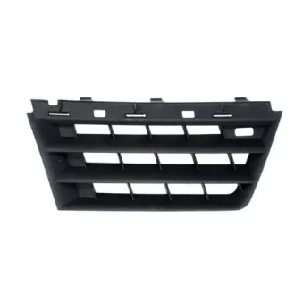 Grille de radiateur BLIC 6502-07-6042992P