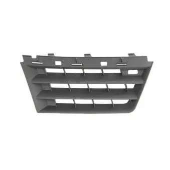 Grille de radiateur avant droit BLIC 6502-07-6042992Q