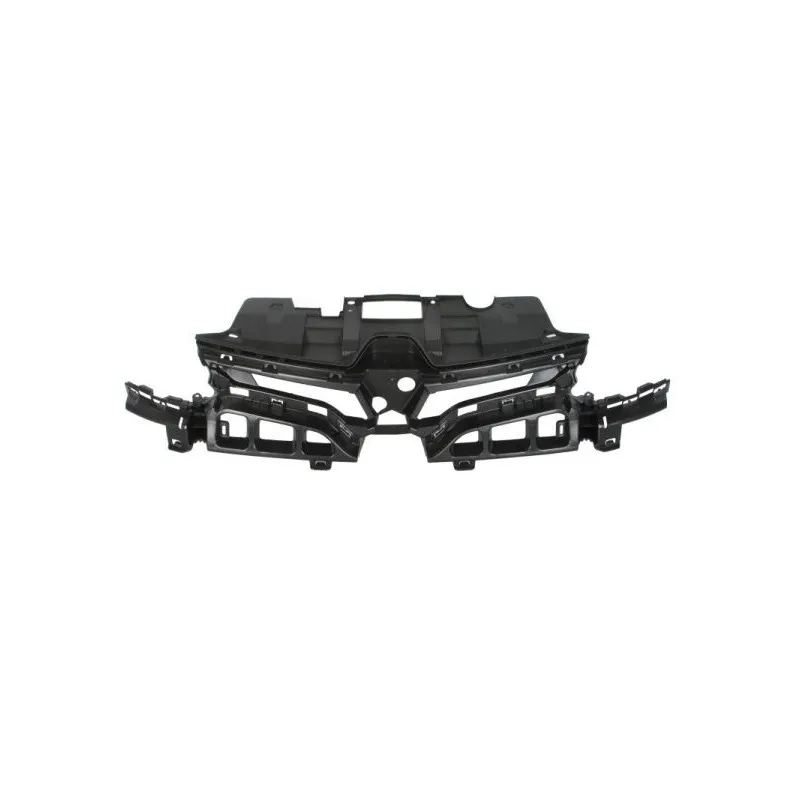 Baguette et bande protectrice, grille de radiateur BLIC 6502-07-6043991P