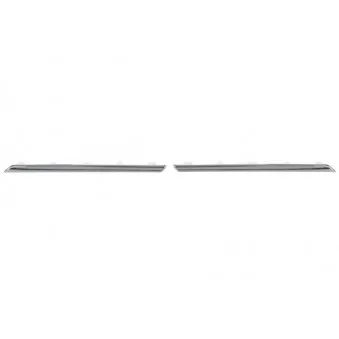 Enjoliveur, grille de radiateur BLIC 6502-07-6043996Q
