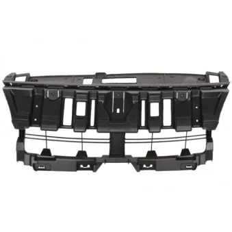 Grille de radiateur BLIC 6502-07-6046992P