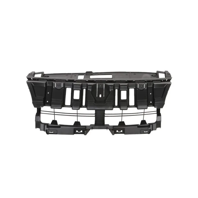 Grille de radiateur BLIC 6502-07-6046992P