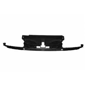 Grille de radiateur BLIC 6502-07-6049993P