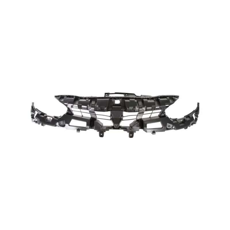 Grille de radiateur BLIC 6502-07-6050992P