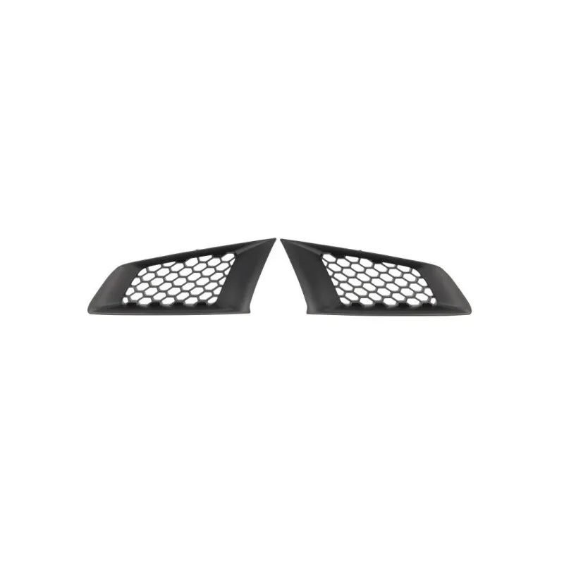 Grille de radiateur BLIC 6502-07-6053990P