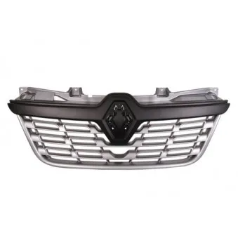Grille de radiateur BLIC 6502-07-6089991P