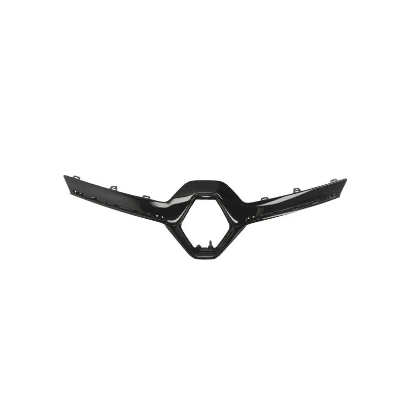 Baguette et bande protectrice, grille de radiateur BLIC 6502-07-6090991P