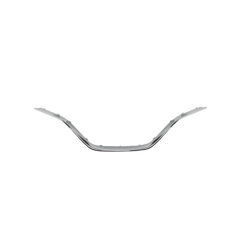 Baguette et bande protectrice, grille de radiateur BLIC 6502-07-6090992P