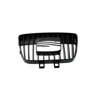 Grille de radiateur BLIC 6502-07-6608991P